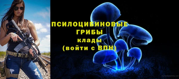 бошки Артём