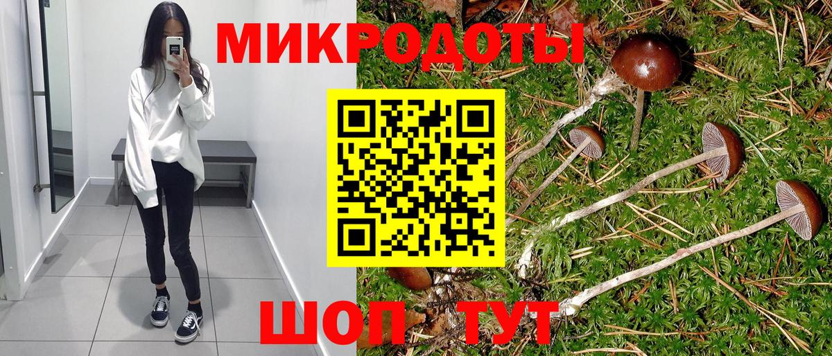 Выборг  Псилоцибиновые грибы MAGIC MUSHROOMS  Галлюциногенные грибы Cubensis  Вход с VPN 