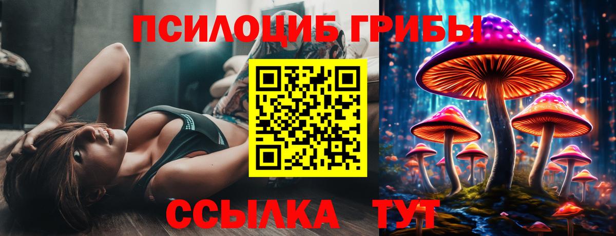 Галлюциногенные грибы Magic Shrooms Выборг