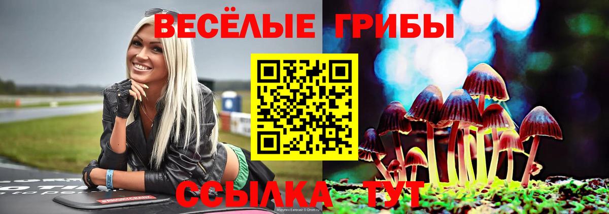 Галлюциногенные грибы MAGIC MUSHROOMS Выборг