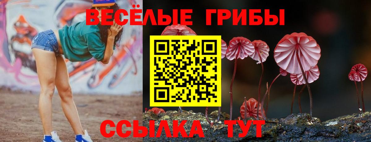 Галлюциногенные грибы мухоморы  Выборг 