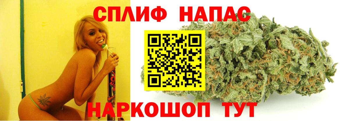 Шишки марихуана OG Kush  Выборг  Марихуана семена  Марихуана семена 